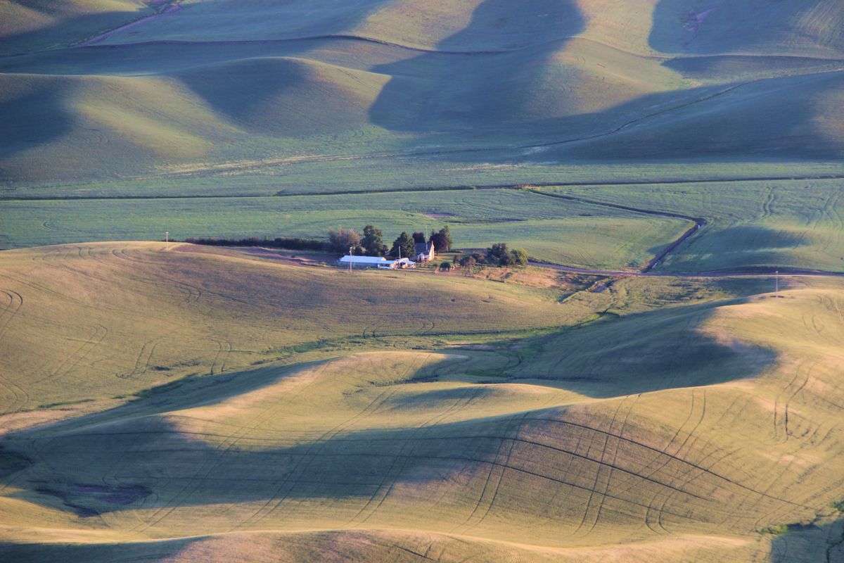 Rolling hills with a remote farm in the countryside