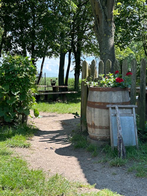 Fotobanka s bezplatnými fotkami na tému cintorín, exteriéry, flóra