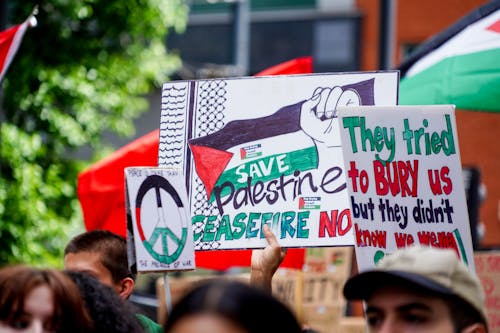 Foto stok gratis bendera palestina, gaza, gazza