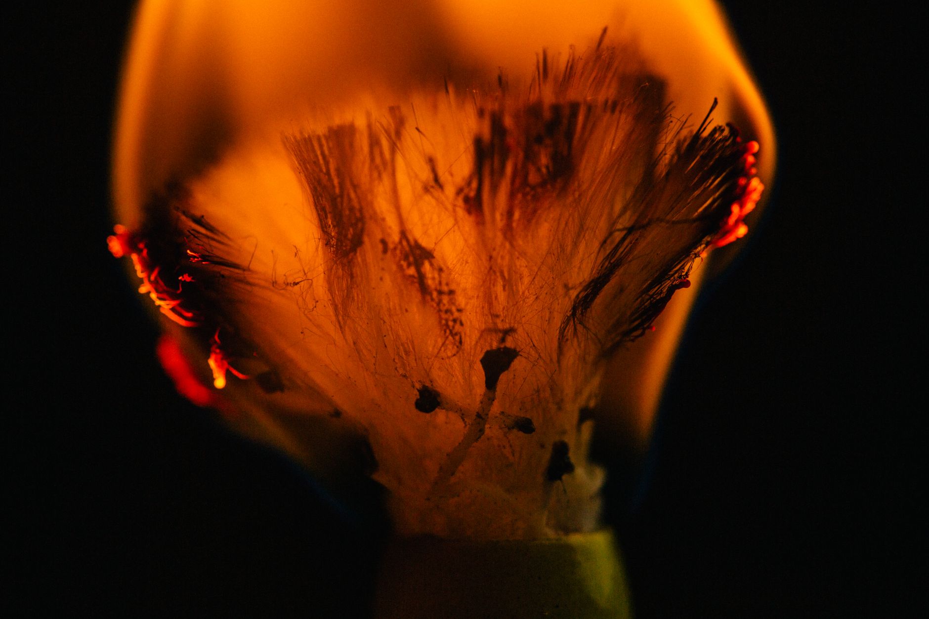 Detailed view of a matchstick catching fire, displaying glowing embers and intense flame.
