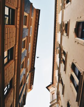 一只鸟在低视角的城市建筑和天空背景中飞行