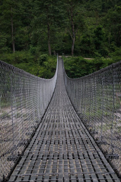Фотография Серого моста крупным планом