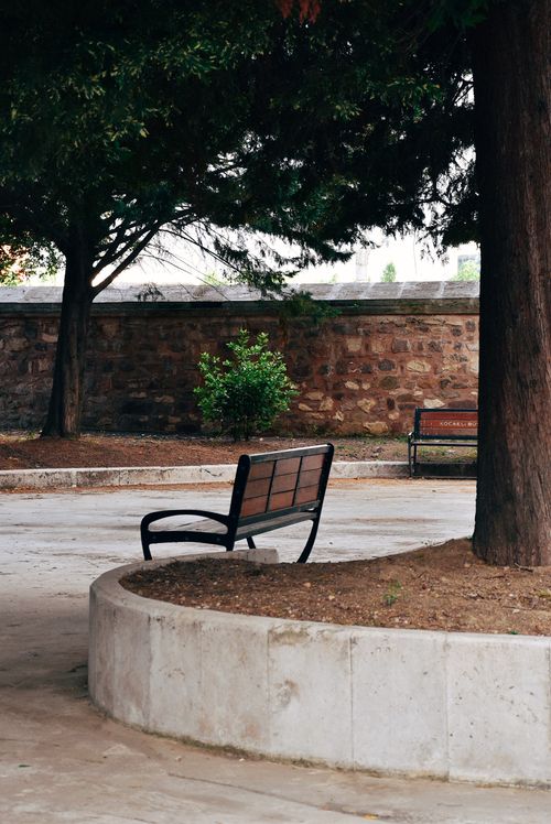Free Serene park scene featuring a bench shaded by towering trees against a rustic stone wall. Stock Photo