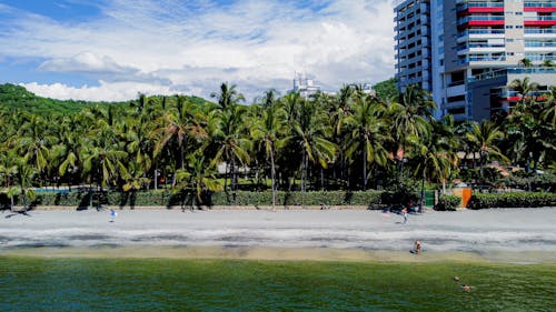 A beach with palm trees and a white sand beach