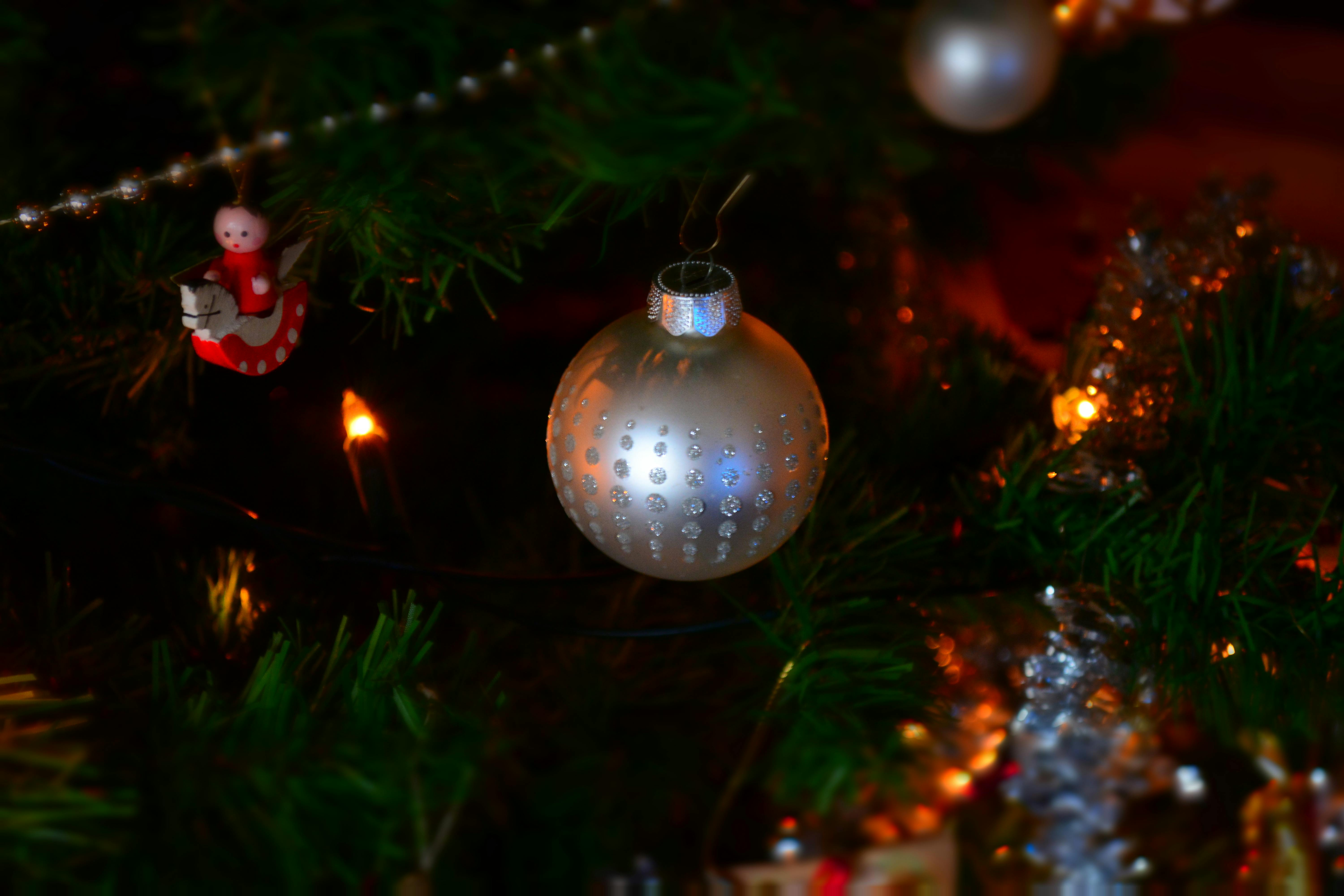 Kostenloses Foto zum Thema weihnachten, weihnachtsbaum