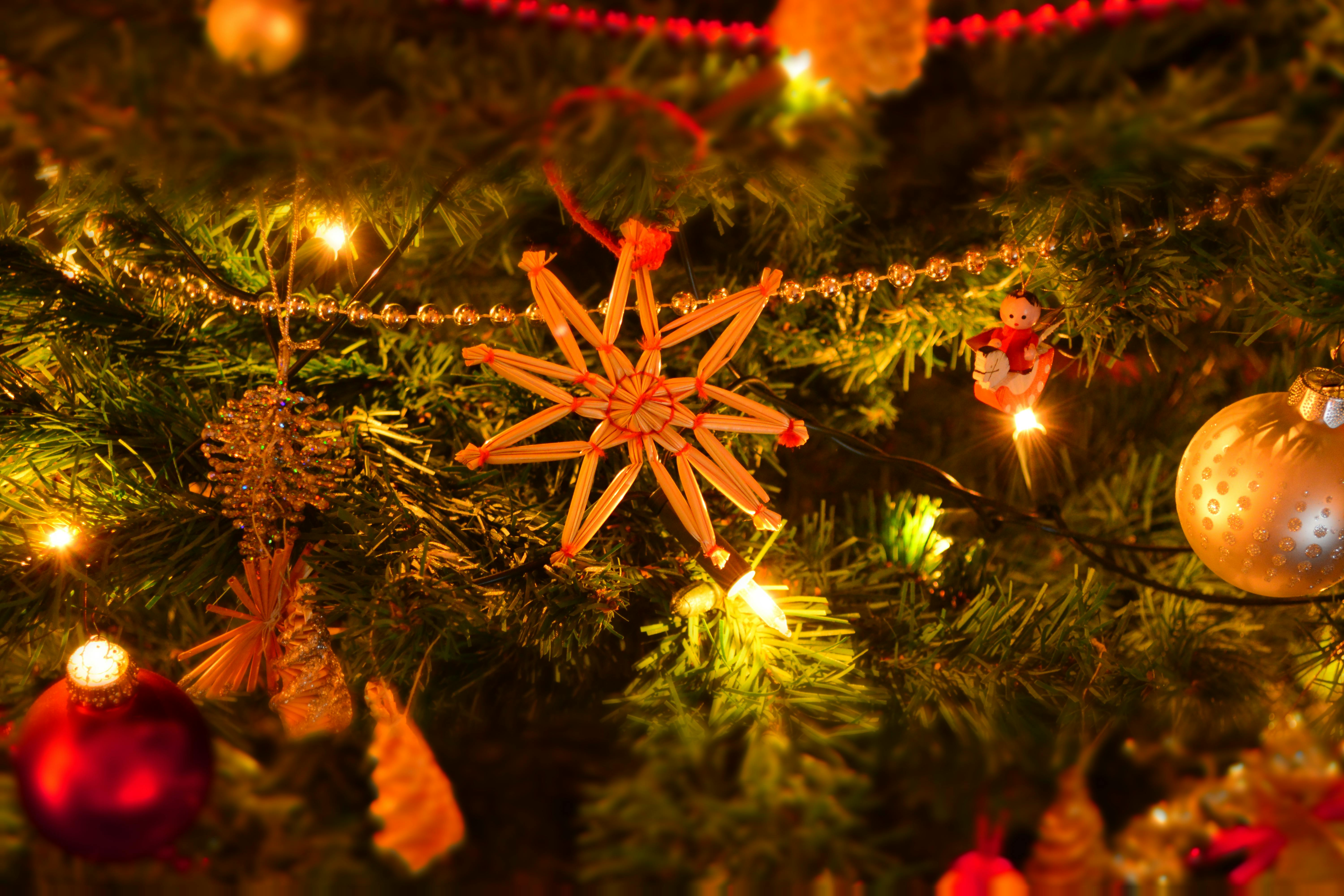 Closeup of Illuminated Christmas Tree at Night · Free Stock Photo