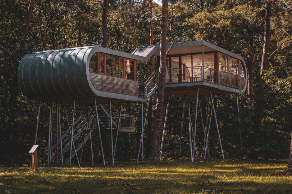 wooden treehouse cabin forest green