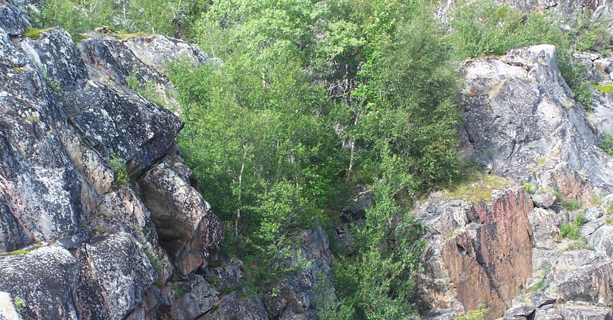 View of Rocks on Landscape
