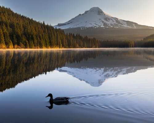 Fotobanka s bezplatnými fotkami na tému hora, jazero, krajina