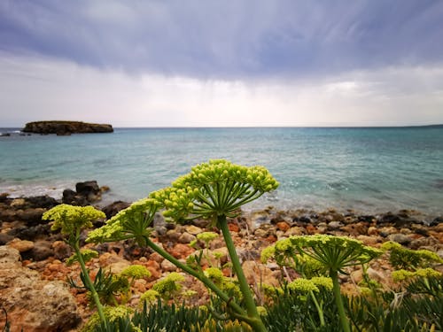 Serene sea surrounding Menorca, Spain
