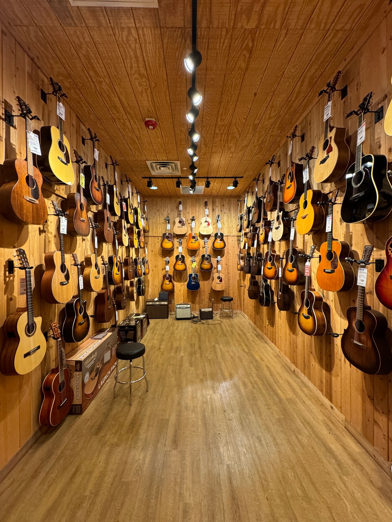 array-of-acoustic-and-electric-guitars-in-store-display-free-stock-photo