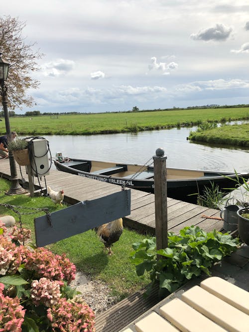Kostnadsfri bild av kanaler, nederländerna, sjö