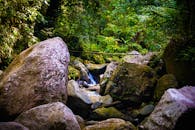 在雨林环境中，一个宁静的瀑布被郁郁葱葱的绿色植物和巨大的巨石环绕着