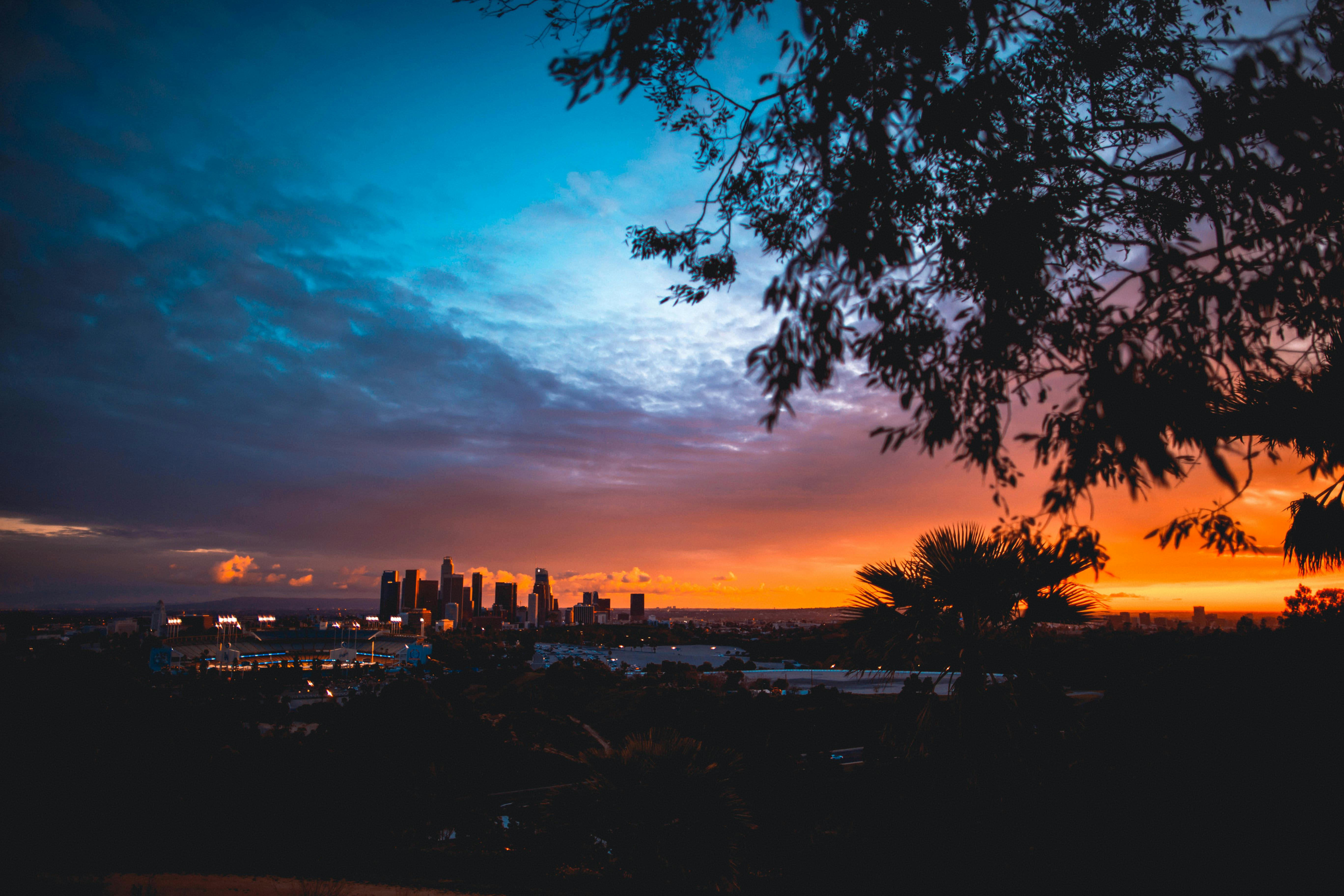 cityscape during golden hour