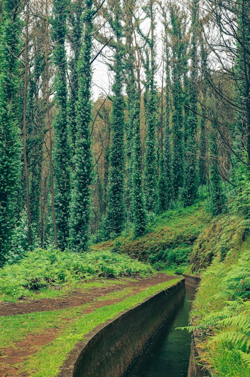 Fotobanka s bezplatnými fotkami na tému cesta, cestovať, dedinský