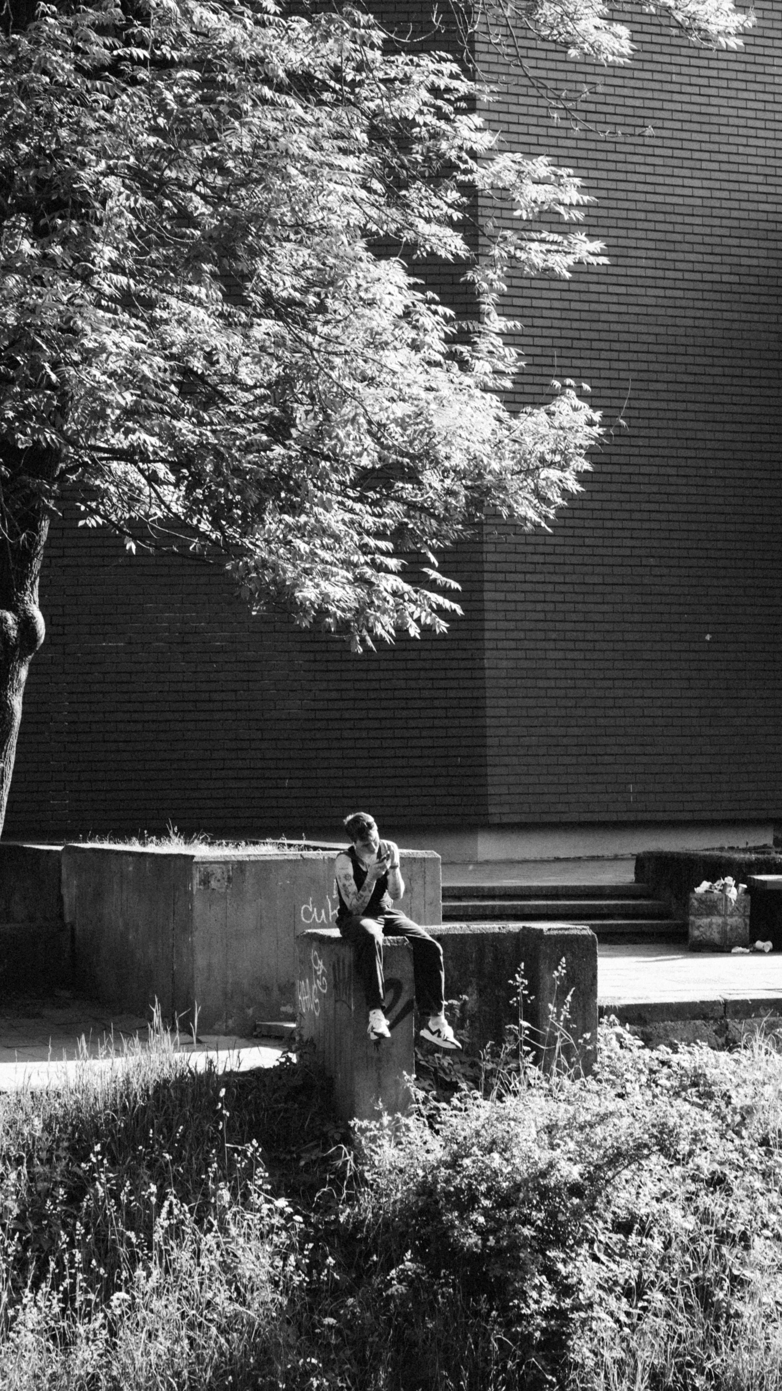 Pietoni din județ sancționați cu amenzi mari!