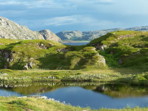 Foto d'estoc gratuïta de a l'aire lliure, aigua, estiu