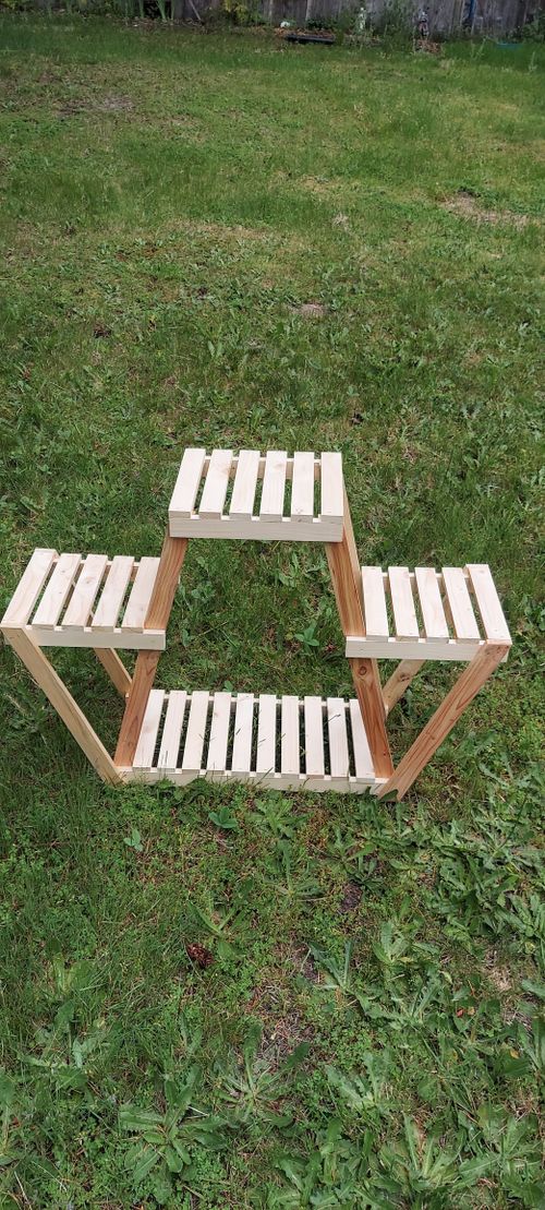 Free Plant stand Stock Photo