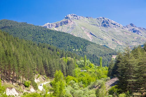 dağ manzarası içeren Ücretsiz stok fotoğraf