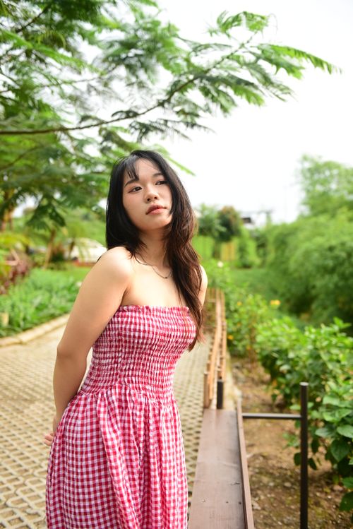 Free A young woman with long, brown hair in a red checked dress enjoys a summer day outdoors. Stock Photo