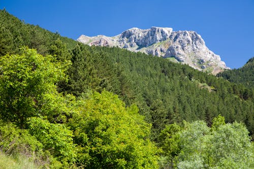 dağ manzarası içeren Ücretsiz stok fotoğraf
