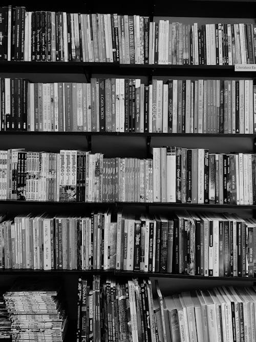 Black and white photo of bookshelves with books