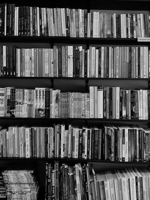 Free Monochrome image of a bookshelf in a library with neatly arranged books. Stock Photo