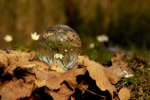 Fotobanka s bezplatnými fotkami na tému atmosfera de outono, jeseň, jesenná farba