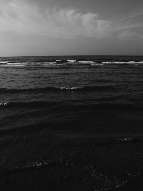 Fotos de stock gratuitas de agua, amanecer, blanco y negro