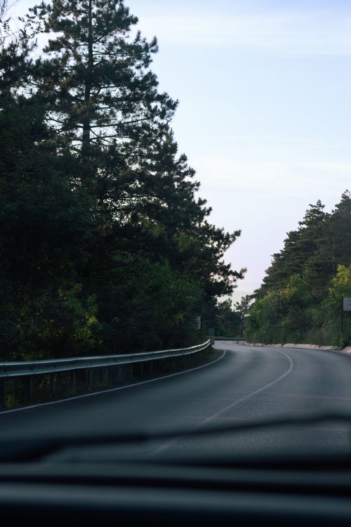 Free A peaceful forest road at twilight, ideal for scenic travel and nature exploration. Stock Photo