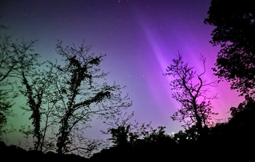 Immagine gratuita di aurora boreale, bellezza della natura, bellezza nella natura