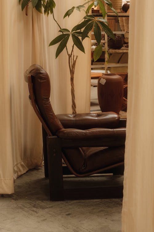 A chair and a plant in a room