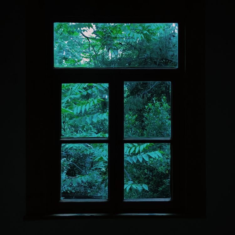 Natural View Through Window Lush Foliage Seen through Window · Free Stock Photo