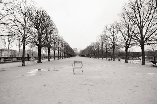公園, 冬季, 城市 的 免費圖庫相片
