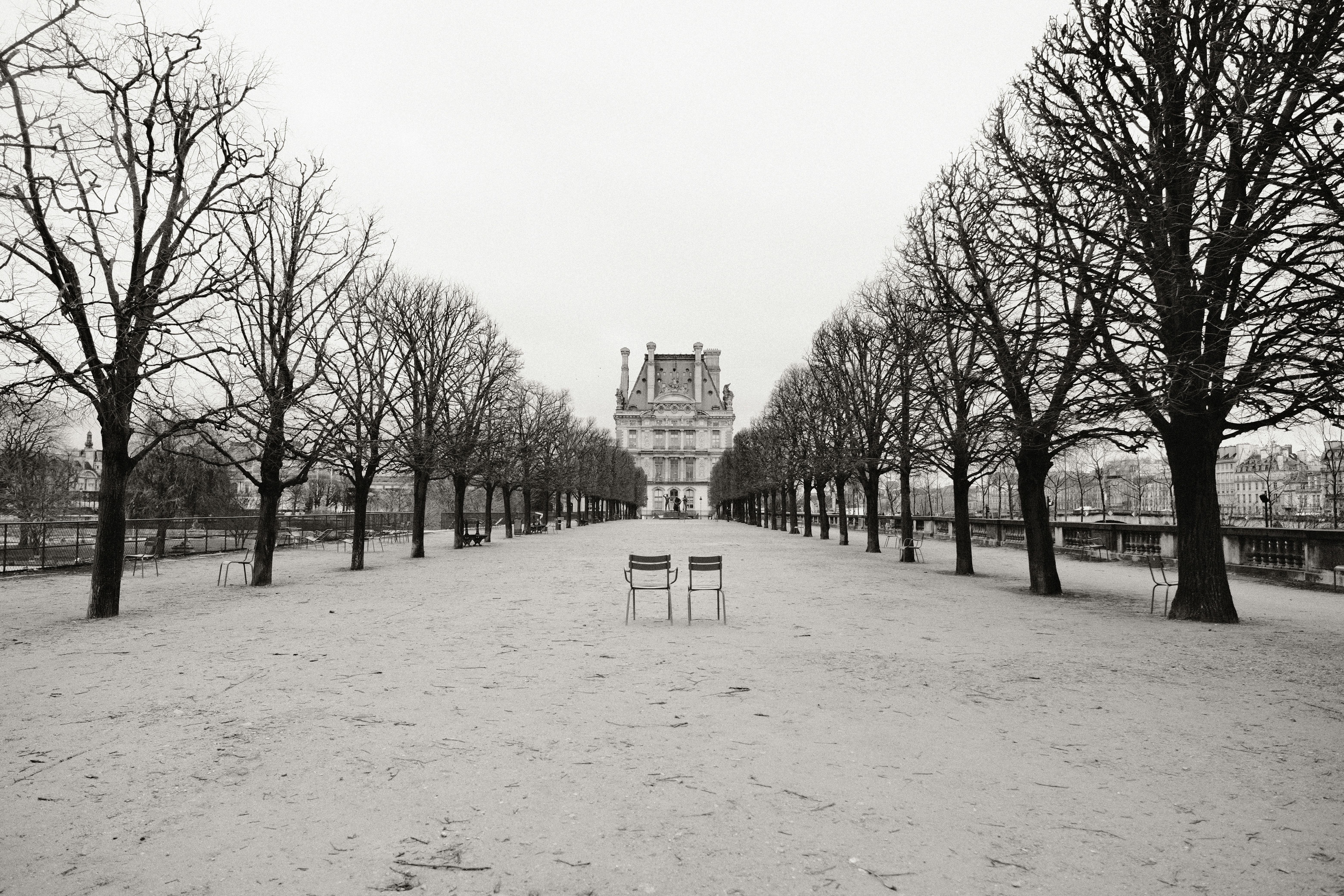 Black and white photo of Tuileries Garden in Paris with Louvre Museum in the background.