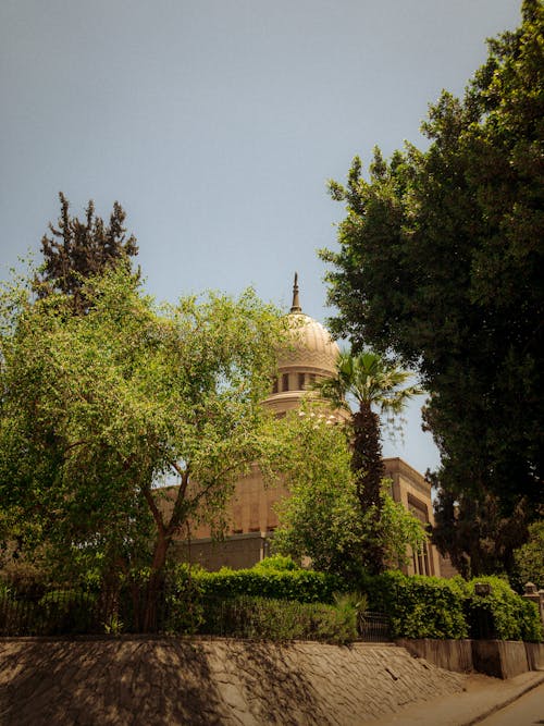 Free stock photo of archicture, autumn trees, cairo