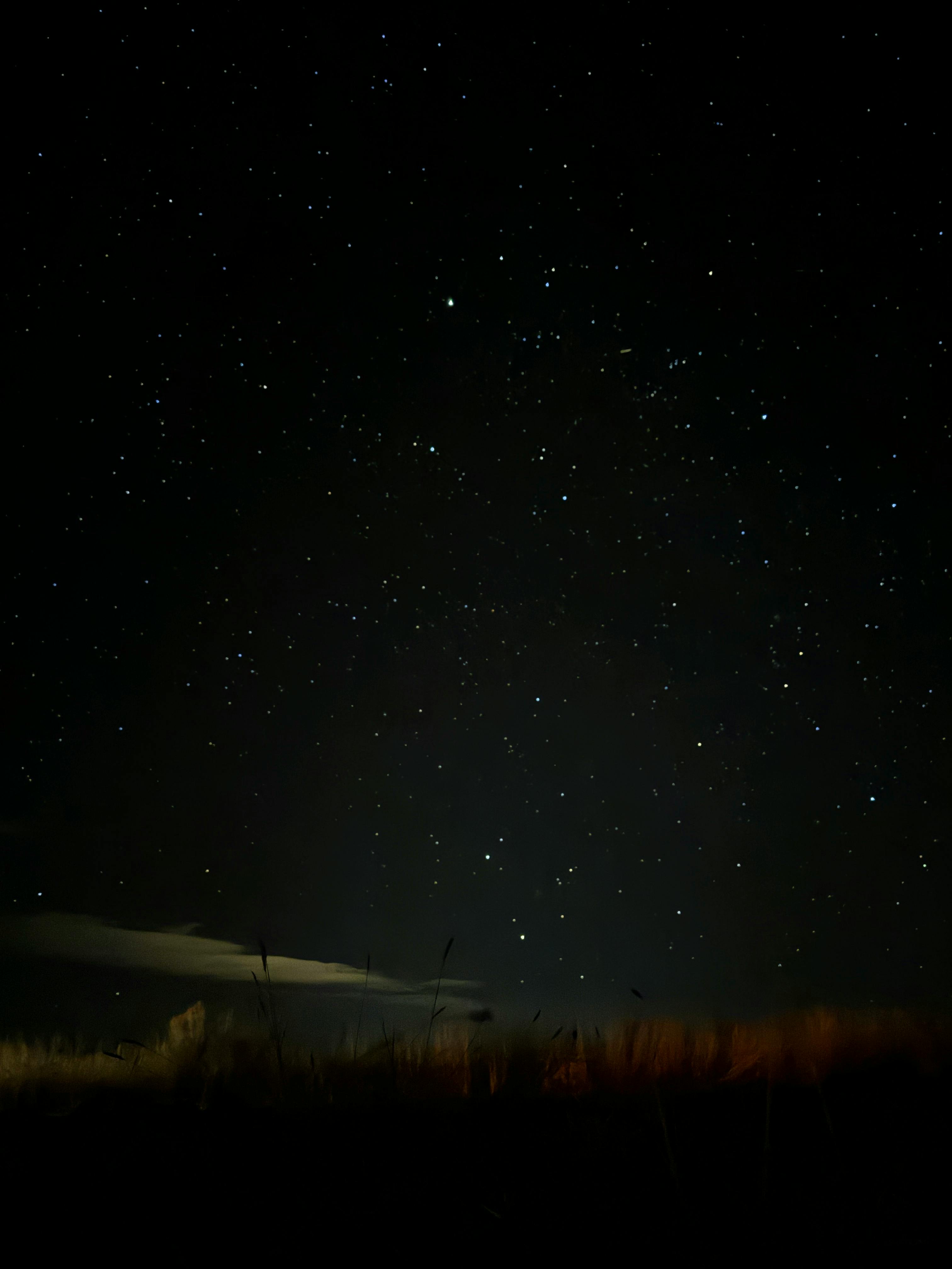 a night sky with stars and a field of grass