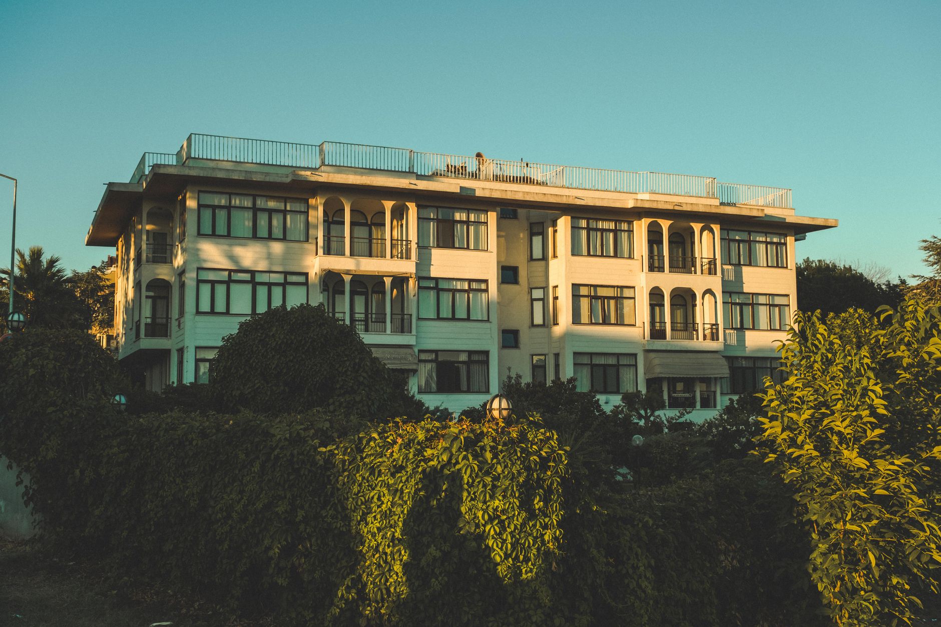 Serviced apartment balcony overlooking jacaranda trees in Kilimani, Nairobi
