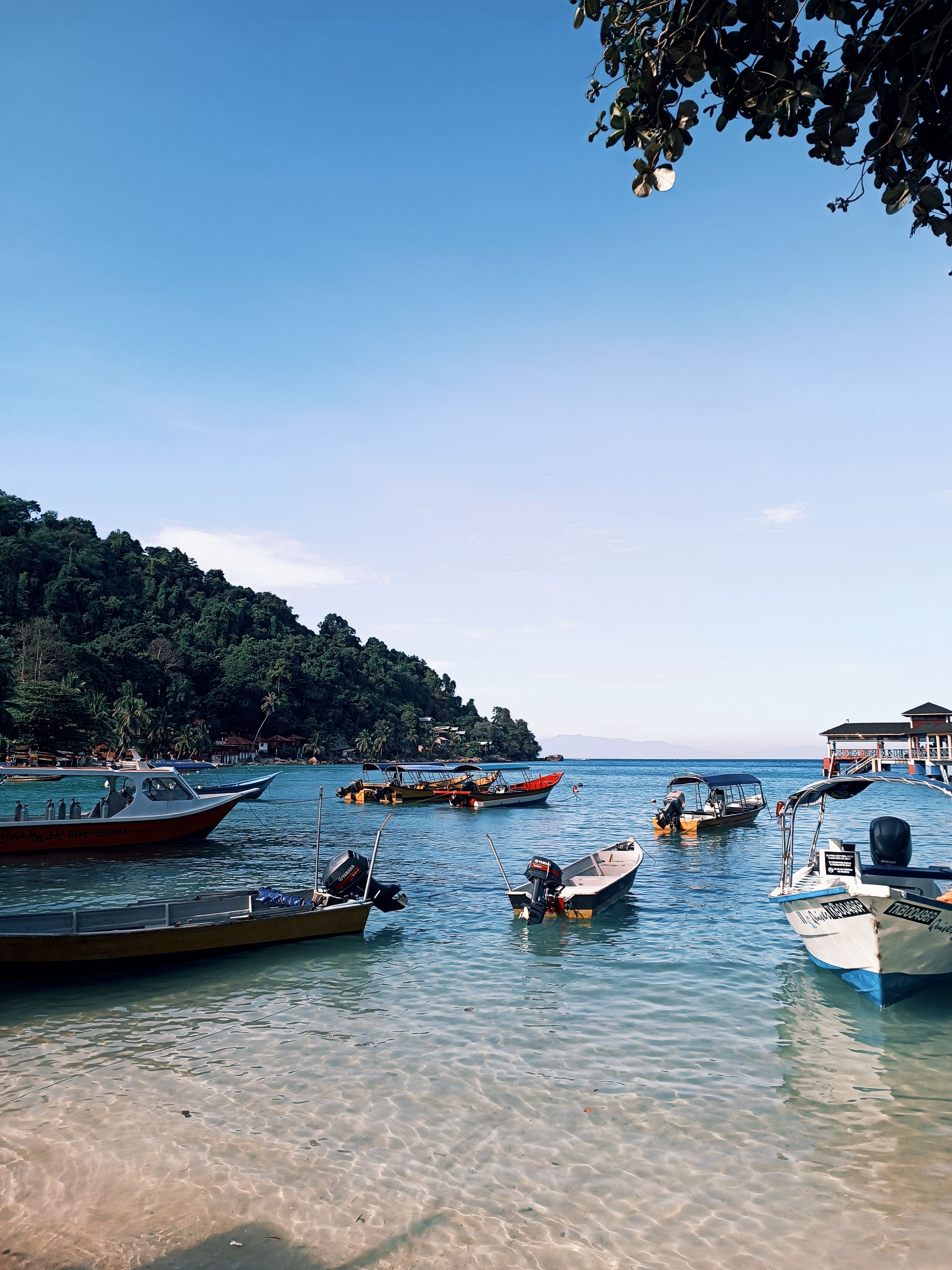 Boats by the Beach · Free Stock Photo