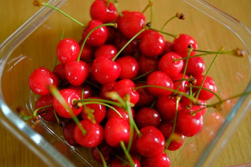 Free stock photo of cherry