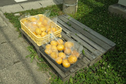 Kostnadsfri bild av äpple, handla utan säljare, japan
