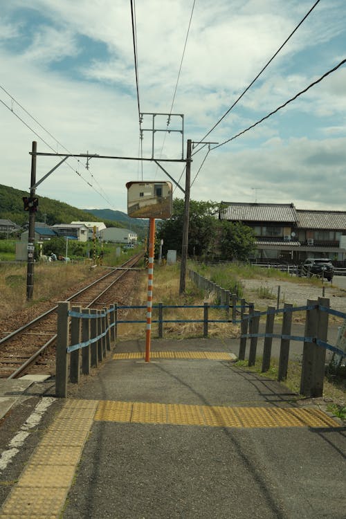 Základová fotografie zdarma na téma 23 mm, aichi, ajisai