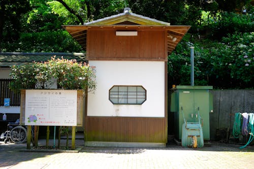 Fotobanka s bezplatnými fotkami na tému 23 mm, aichi, ajisai