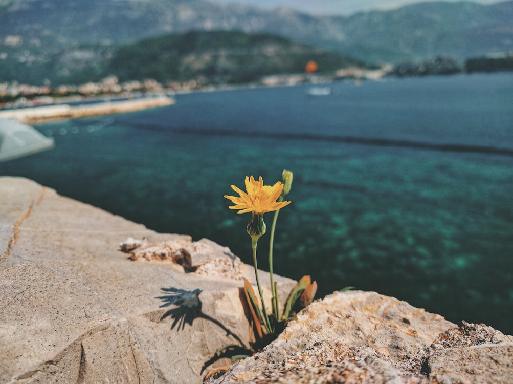 Foto d'estoc gratuïta de a l'aire lliure, aigua, blau