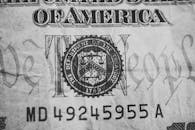 美国货币的宏观特写详细展示了其复杂的设计与文字，并着重突出了印章和文字部分