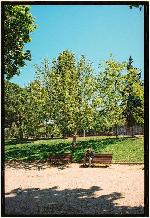 A person sitting on a bench in a park
