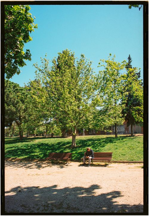 Free A man sits alone on a bench under bright blue skies in a lush green park. Stock Photo