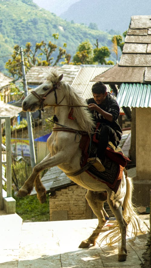 A man riding a horse in the middle of a village