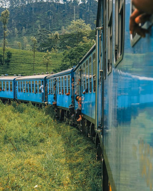 Синий поезд бежит рядом с зеленым полем