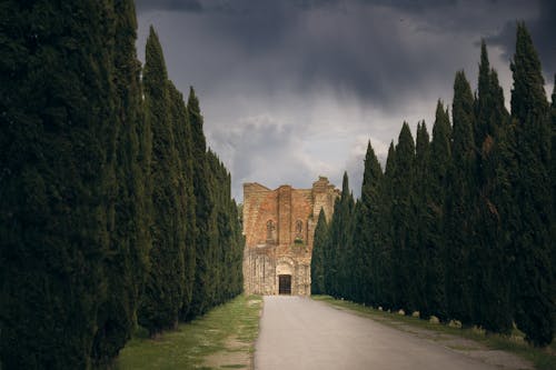 Photos gratuites de arbre, architecture, avenue